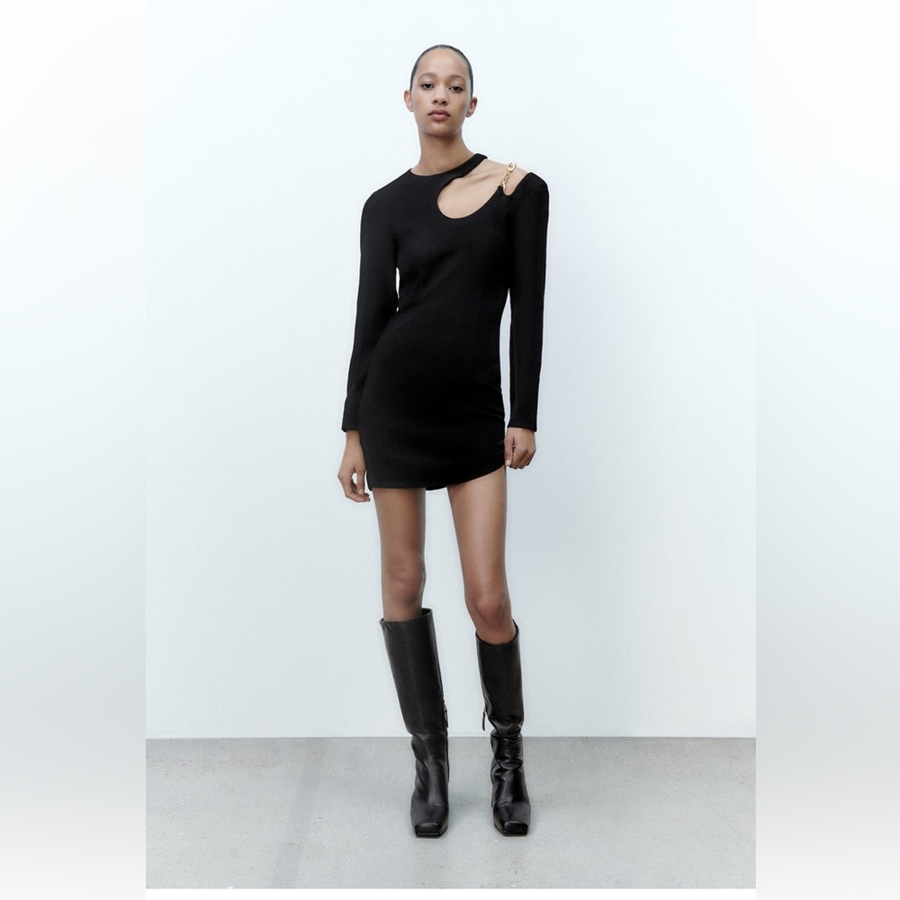 Zara Dress NWT